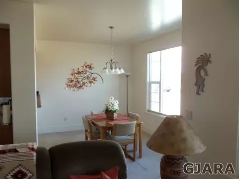 1117 Daisy Ln, Fruita, CO 81521 photo 3