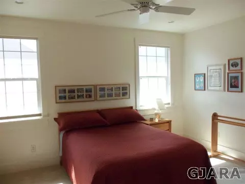 1117 Daisy Ln, Fruita, CO 81521 photo 6