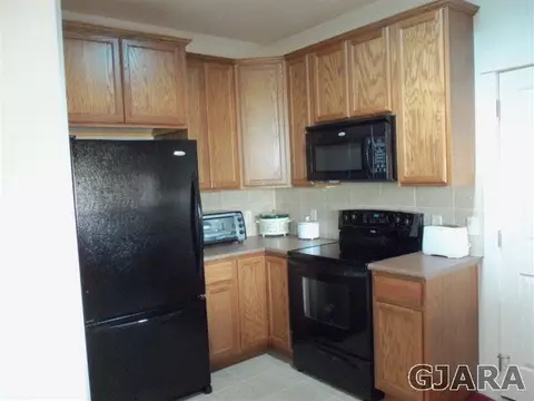 1117 Daisy Ln, Fruita, CO 81521 photo 4