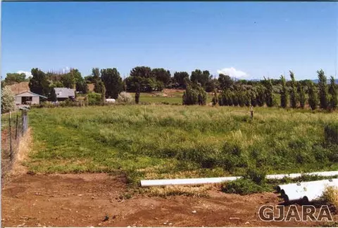 1754 L 12 Rd, Fruita, CO 81521 photo 13