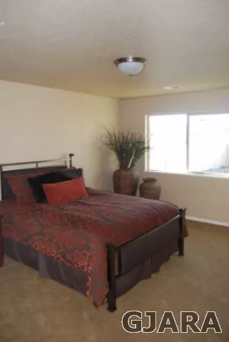 159 Compton Ct, Fruita, CO 81521 photo 4