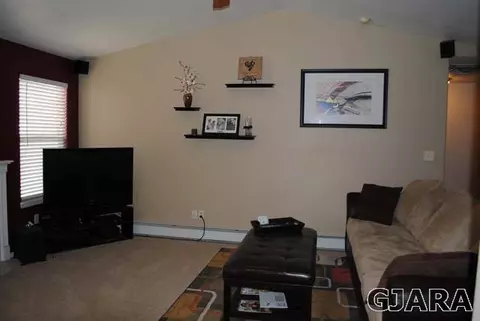 168 Sierra Dr, Fruita, CO 81521 photo 3