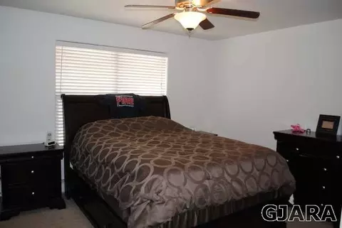 168 Sierra Dr, Fruita, CO 81521 photo 11