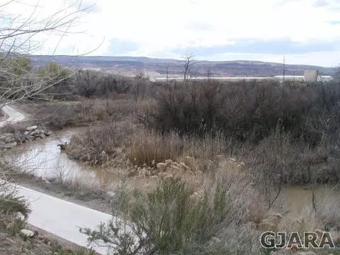 439 Breeze Dr, Fruita, CO 81521 photo 13