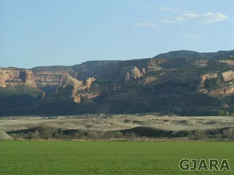 975 Karp Ave, Fruita, CO 81521 photo 12