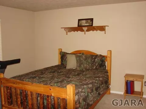 841 Jasper Dr, Fruita, CO 81521 photo 12