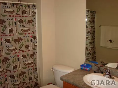 841 Jasper Dr, Fruita, CO 81521 photo 14