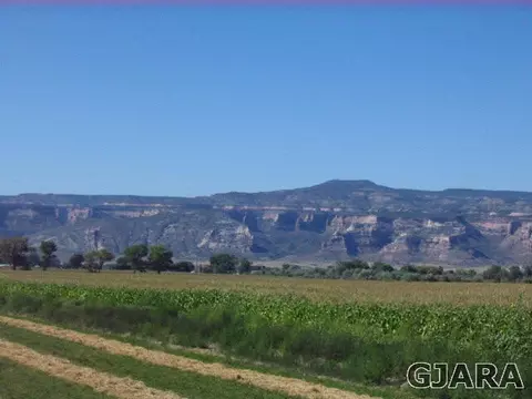 1938 L Rd, Fruita, CO 81521 photo 1