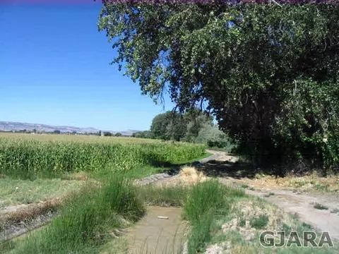 1938 L Rd, Fruita, CO 81521 photo 2