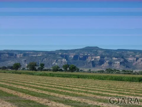 1938 L Rd, Fruita, CO 81521 photo 4