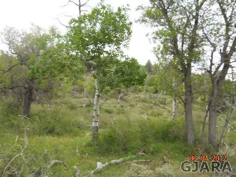 17123 Js Rd, Glade Park, CO 81523 photo 1
