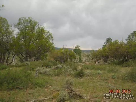 17123 Js Rd, Glade Park, CO 81523 photo 2