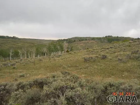 17123 Js Rd, Glade Park, CO 81523 photo 5