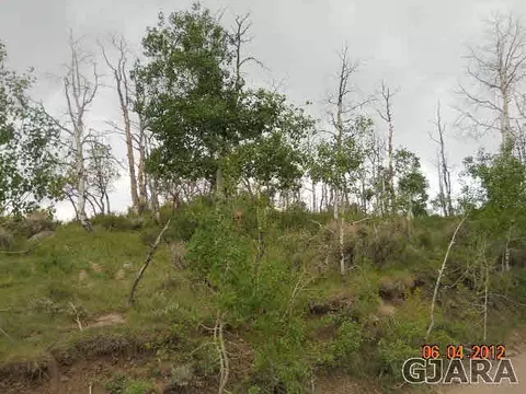 17123 Js Rd, Glade Park, CO 81523 photo 6
