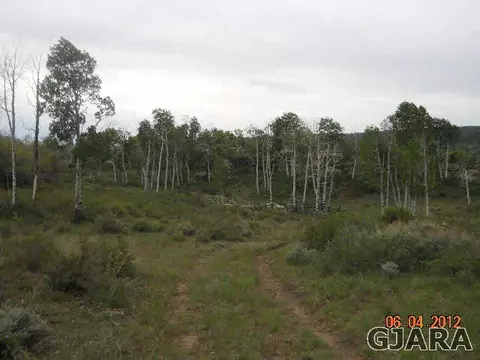 17123 Js Rd, Glade Park, CO 81523 photo 3