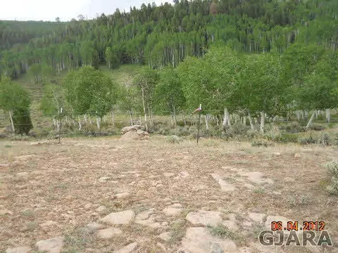 17123 Js Rd, Glade Park, CO 81523 photo 4