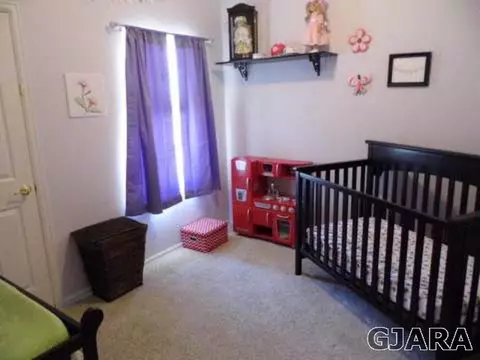 936 Agate Ct, Fruita, CO 81521 photo 8
