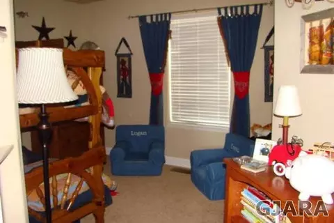 985 Moores Diamond Dr, Fruita, CO 81521 photo 8