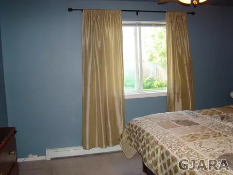 1254 Powell St, Fruita, CO 81521 photo 11