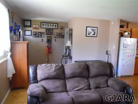 1014 E Carolina Ave, Fruita, CO 81521 photo 3