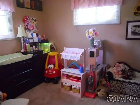 1014 E Carolina Ave, Fruita, CO 81521 photo 11