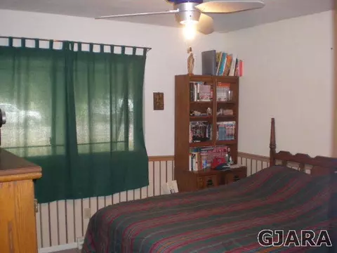 1091 Wallace St, Fruita, CO 81521 photo 15