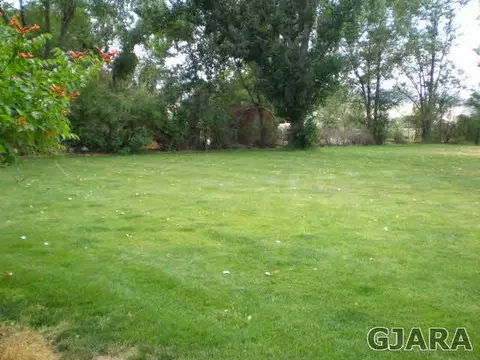 1091 Wallace St, Fruita, CO 81521 photo 24