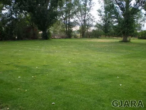 1091 Wallace St, Fruita, CO 81521 photo 21