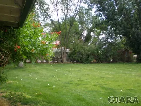 1091 Wallace St, Fruita, CO 81521 photo 20