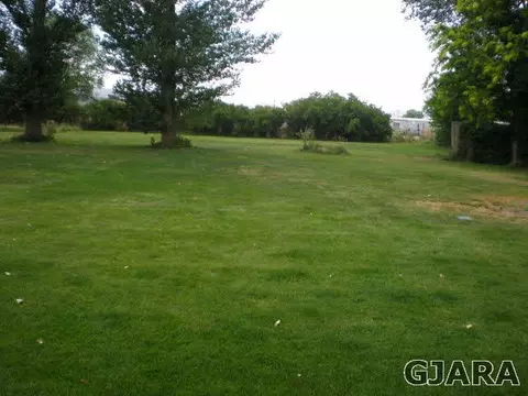 1091 Wallace St, Fruita, CO 81521 photo 25