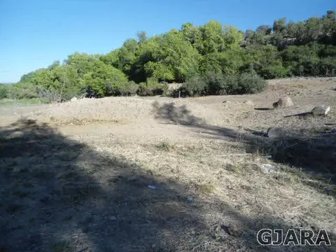 58274 Pe Rd, Collbran, CO 81624 photo 8