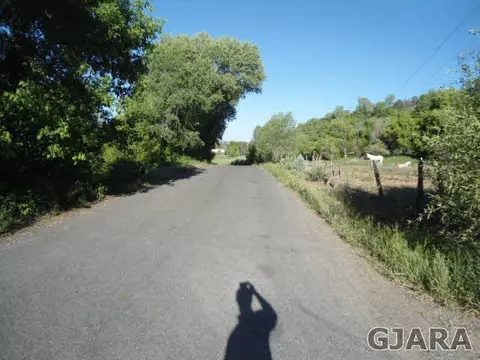 58274 Pe Rd, Collbran, CO 81624 photo 9