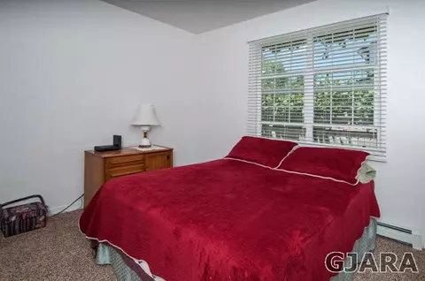 952 E Columbine Ave, Fruita, CO 81521 photo 19