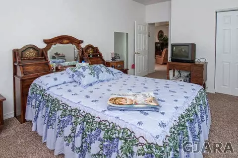 952 E Columbine Ave, Fruita, CO 81521 photo 25