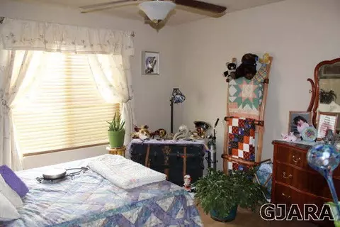977 Malachite Dr, Fruita, CO 81521 photo 3
