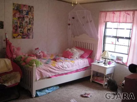 12084 58 Rd, Collbran, CO 81624 photo 8