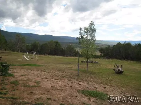 12084 58 Rd, Collbran, CO 81624 photo 15