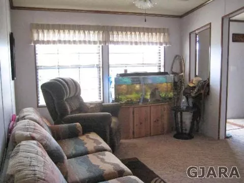 12084 58 Rd, Collbran, CO 81624 photo 3