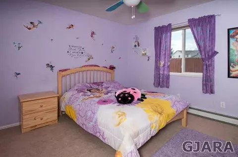 403 Poplar Dr, Fruita, CO 81521 photo 19