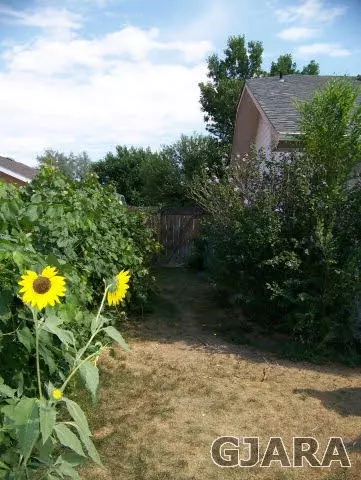 1122 Aquarius Ave, Fruita, CO 81521 photo 34