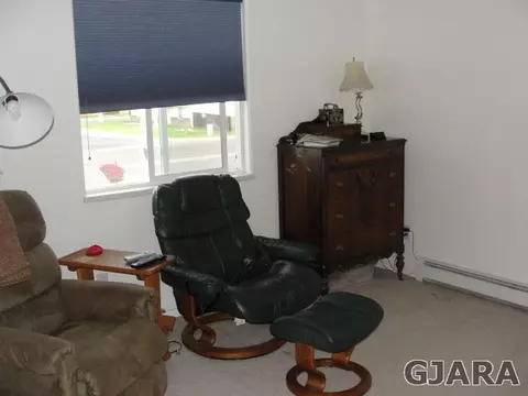 157 W Sunset Dr, Fruita, CO 81521 photo 14