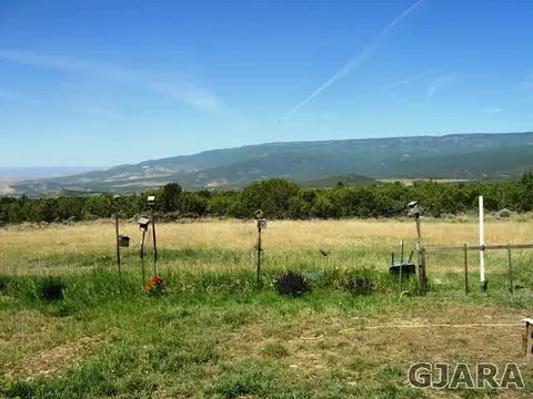 20151 Surface Creek Rd, Cedaredge, CO 81413 photo 2