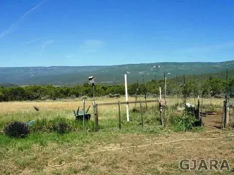 20151 Surface Creek Rd, Cedaredge, CO 81413 photo 4