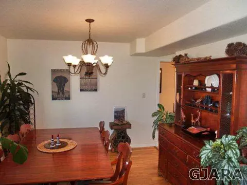 1008 Wingate Dr, Fruita, CO 81521 photo 2