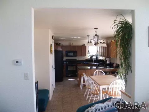 1008 Wingate Dr, Fruita, CO 81521 photo 3