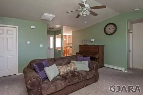 235 Narrow Leaf Dr, Fruita, CO 81521 photo 6