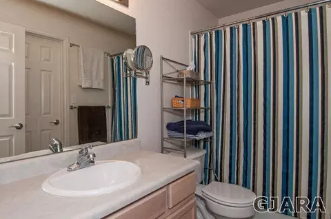 235 Narrow Leaf Dr, Fruita, CO 81521 photo 16