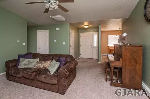 235 Narrow Leaf Dr, Fruita, CO 81521 photo 3