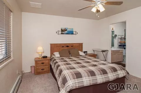 235 Narrow Leaf Dr, Fruita, CO 81521 photo 15