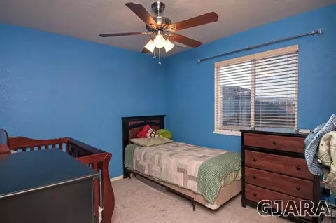 235 Narrow Leaf Dr, Fruita, CO 81521 photo 18